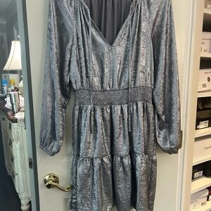 Shimmering Silver Long Sleeve Dress